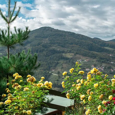 Orman Evi Std Besevic 