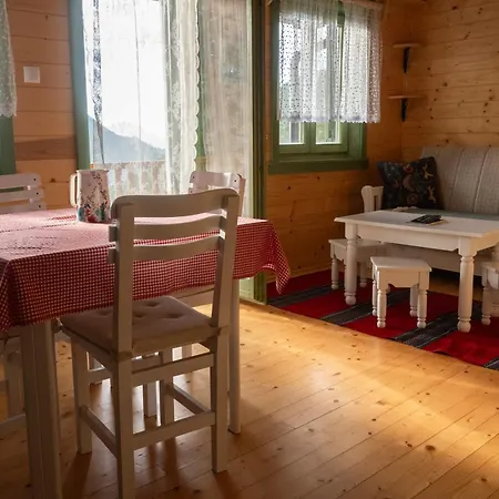 Orman Evi Std Besevic 