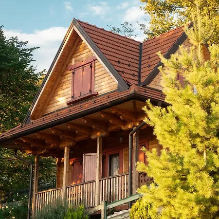 Orman Evi Std Besevic 