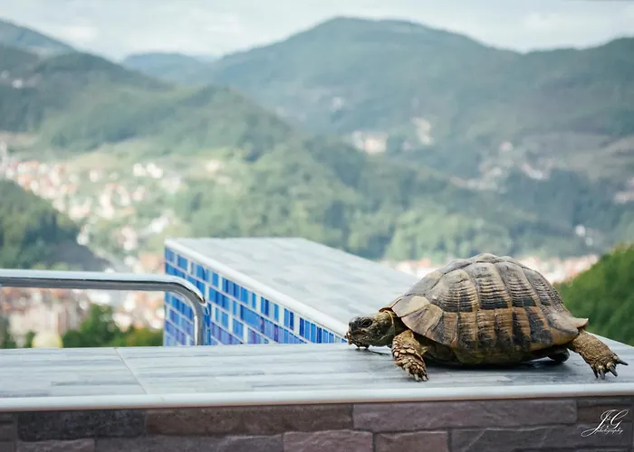 山林小屋 Std Besevic 