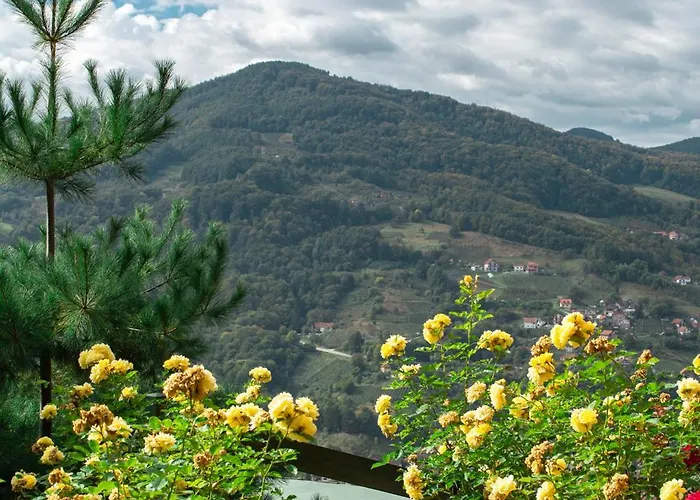 山林小屋 Std Besevic 